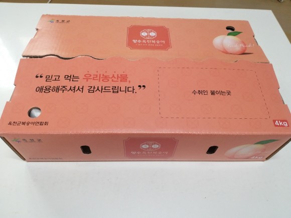 새콤달콤맛있는 복숭아(황도,백도)