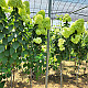http://hstreefarm.edenstore.co.kr/data/item/1673180726/thumb-65287J6E65287J207Yq47IiY6rWt1_80x80.jpg